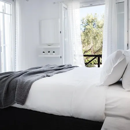 Baos Pool 빌라 Mykonos Town